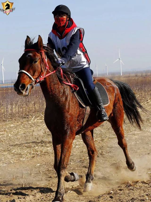开云体育官网-河套山猫队火力全开海滨雄鲨队，体操公开赛上演耐力碾压对手！赛场纪律更严谨的简单介绍